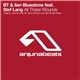 BT & ilan Bluestone Feat. Stef Lang - All These Wounds